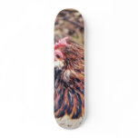 Bantam Hen Custom Skate Board