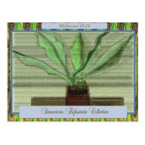 Bantel's Sensation Post Cards postcards