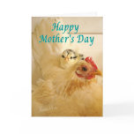 Banty hen & chick cards