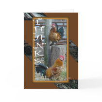 Banty Rooster Brothers TY 4276-z Cards