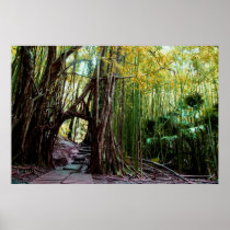 Banyan Portal Print