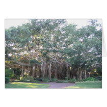 Banyan Tree Cards