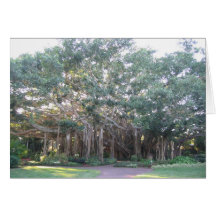 Banyan Tree Cards
