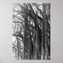 Banyan Tree Posters