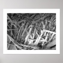 Banyan Tree Roots Posters