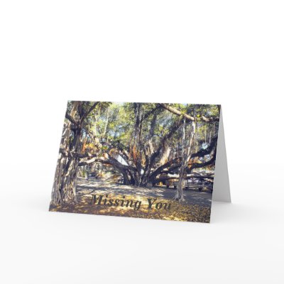 Banyon Tree in Lahaina Maui, Missing You Greeting Cards by TheHugHut