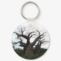 Baobab Tree Keychain by ashlandt Baobab Tree Keychain