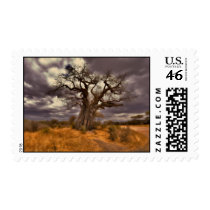 Baobab Tree postage by Romona Baobab Tree postage