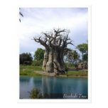 Baobab Tree Postcard