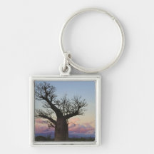 Baobab trees, Berenty, Toliara, Madagascar Keychain