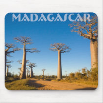 Baobab trees of Madagascar Mouse Pad