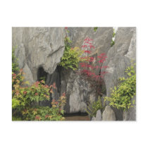 Bao's family garden, Huangshan, China. Postcard
