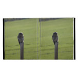 BAOW Barred Owl iPad Cases