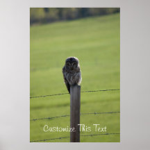 BAOW Barred Owl Print