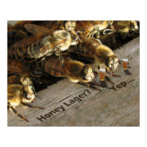 Bar Bees_Honey Lager? posters