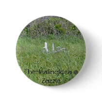 Bar Harbor - Branch buttons by TheHealingIdea Bar Harbor - Branch buttons