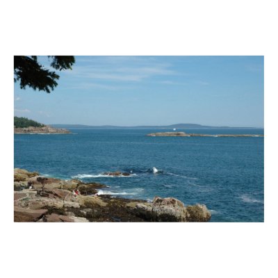 Bar Harbor Seascape Poster by ArtistNikki