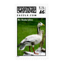 Bar-Headed Goose postage