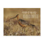 Bar-tailed Godwit, Alaska Post Cards