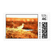 Bar-tailed Godwit Stamps
