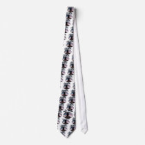Barack Obama January 20th 2009 Inauguration ties