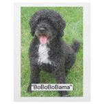 Barack Obama Portuguese Water Dog Custom Flyer