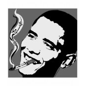 Barack Obama Satire / Parody Ladies Dark TShirt
