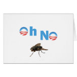 Barack Obama the Fly Killer