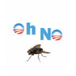Barack Obama the Fly Killer