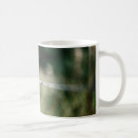 barb mugs