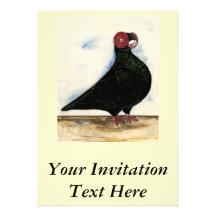 Barb Pigeon Watercolor Custom Invite