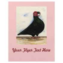 Barb Pigeon Watercolor Flyer Design