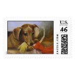 Barb vs Dogzilla Stamps