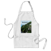 Barbados Aprons