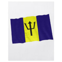 barbados custom flyer