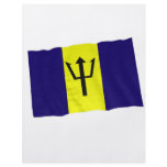 barbados flyers