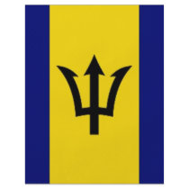 Barbados National Flag flyers by All_Flags Barbados National Flag flyers