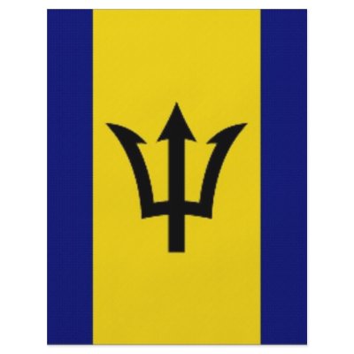 Barbados National Flag Flyer Design by All_Flags