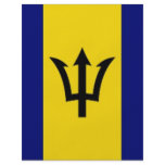 Barbados National Flag flyers