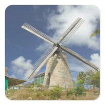 BARBADOS, North East Coast, Morgan Lewis: Morgan