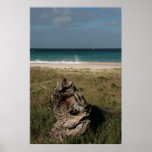 Barbados Posters