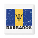 barbados, caribbean, bridgetown, scuba, diving,