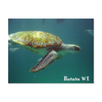 Barbados W.I. postcards by marcusgphotography Barbados W.I. postcards