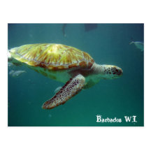 Barbados W.I. Postcards