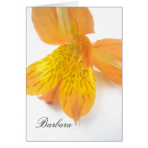 Barbara cards by lollypopgirrrl Barbara cards