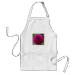 barbarry bingo pink aprons