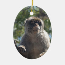Barbary Ape Christmas Ornaments