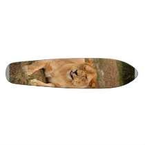 Barbary Lion 006 Skateboard