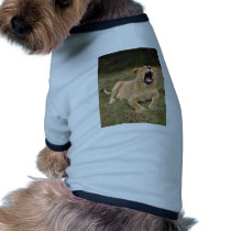 Barbary Lion-nap-002 pet clothing