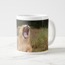 Barbary Lion-nap-003 mugs